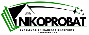 Logo-nikoprobat-surelevation-maison-95-